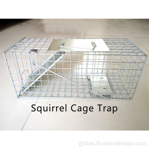 Medium Animal Cage Trap Humane live catch animal trap cage Manufactory
